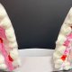 teeth
