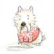 Image for Why dogs make good picture book characters